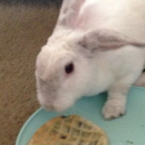 Meet your Posher, Francisca